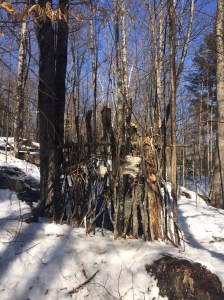 almost-ready-for-rain